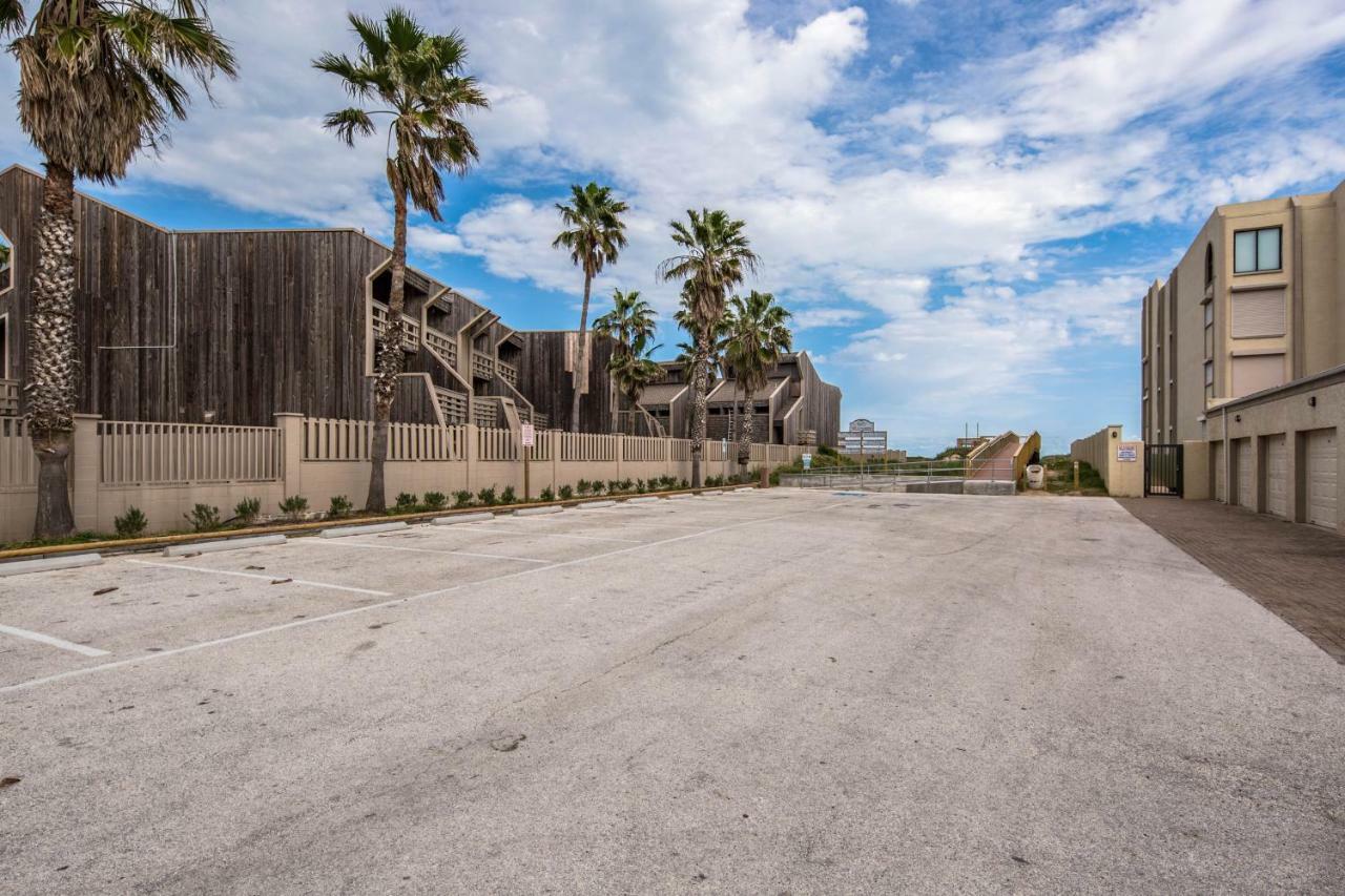 Palm Tree Escape Apartment South Padre Island Exterior photo